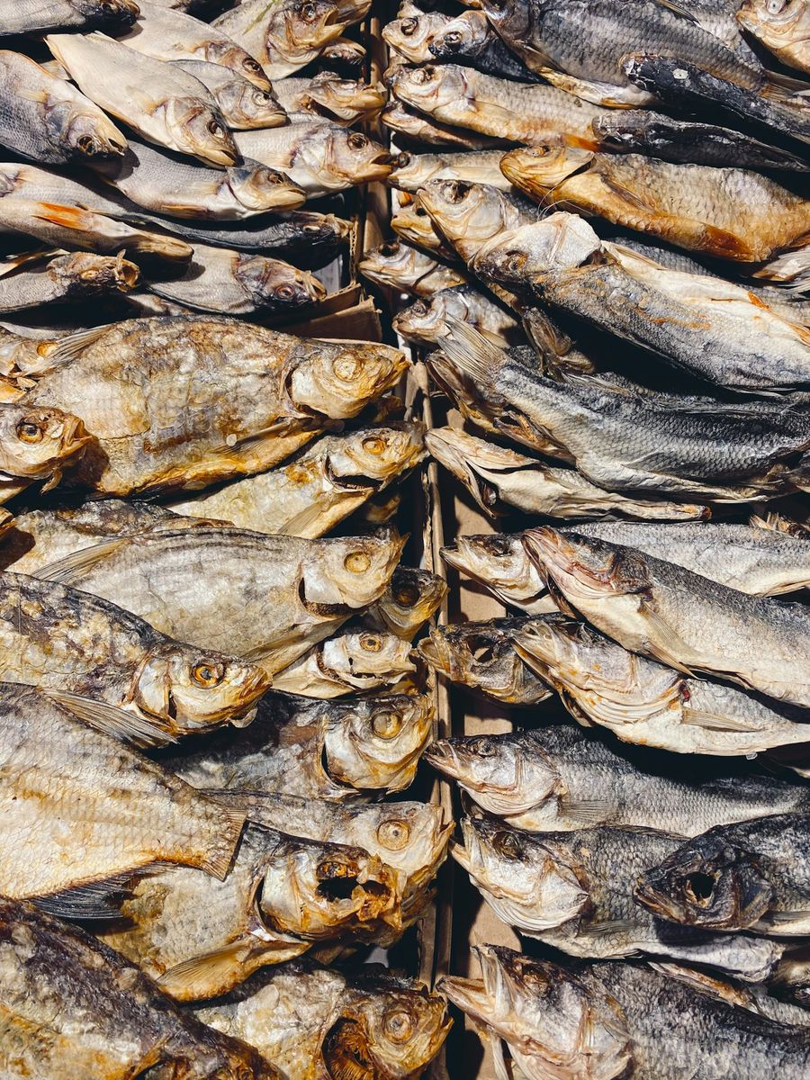 Khô cá sặc