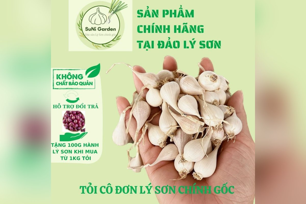 Tỏi cô đơn Lý Sơn