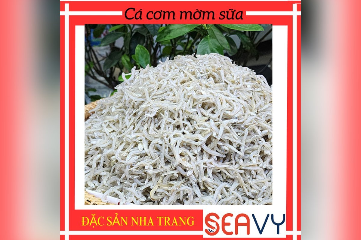 Cá cơm mờm sữa khô Nha Trang